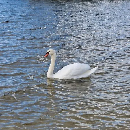 Κάμπινγκ Mobil 4* *