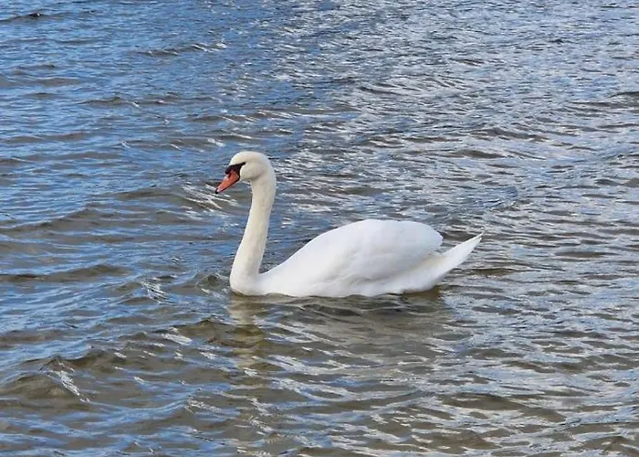 캠프장 Mobil 4* *