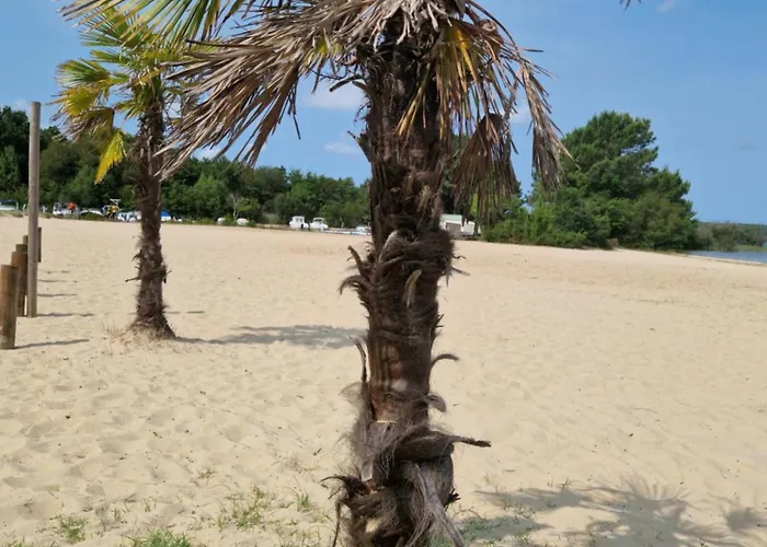 Mobil 4* 캠프장 *